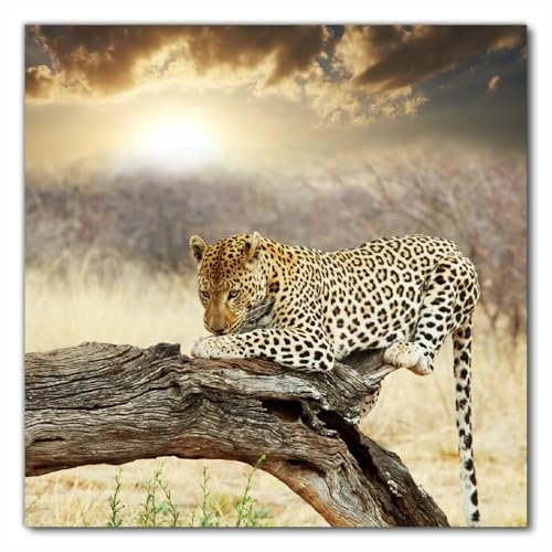 Wallario Selbstklebende Möbelfolie/Tischdecke für Innen und Außen, Größe: 80 x 80 cm - Leopard auf Baumstamm in Afrika