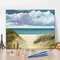 TISHIRON Peinture par Numéros Kits, Peinture de Plage par Numéros pour Adultes Débutants, DIY Paysage Naturel bleu avec Oiseaux de mer Peinture par Numéros 16x20 Pouces