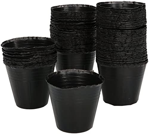 KOTARBAU® 100 Macetas de cultivo, Macetas de plástico para plántulas, hierbas y semillas, Macetas redondas con agujeros de drenaje, Tiestos de plástico, Semilleros, Macetas de Plántulas de vivero, 100