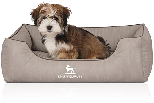 Knuffelwuff Orthopädisches Hundebett Tampa aus Laser-gestepptem Kunstleder S 70 x 50cm Grau - Abnehmbarer Bezug - leicht zu reinigen - für große, mittelgroße und kleine Hunde