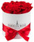 PARIS EN ROSE Rosenbox | mit 9 roten Infinity Rosen Größe XL | konservierte ewige Rose | weiße Box mit Schleife | 3 Jahre haltbar | Grußkarte