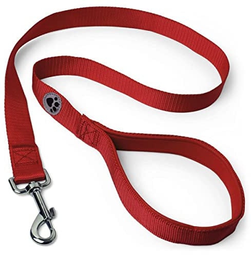 iGadgitz Home U7159 Führleine Hund, Hundeleine Gepolstert Griff -Rot -100cm (1m)