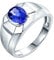 Herren Ring Gold, Ring aus 18 Karat Weißgold mit 1.16ct Ovaler Tansanit, Größe 62 (19.7)