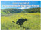 Dog Pooping Calendar 2025, Dogs Pooping In Beautiful Places 2025 Calendar, Funny Humor Gag Wall Hanging Calendar Monthly Planner