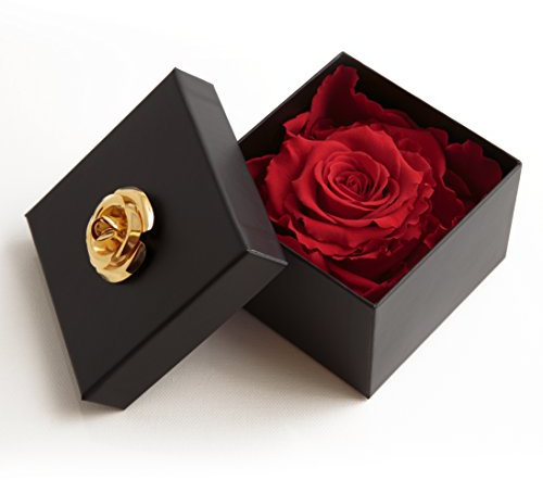 ROSEMARIE SCHULZ Heidelberg Ewige Rose Rot in Box - Rosenbox 8,5x8,5cm 1 echte Rose haltbar 3 Jahre in Blumenbox - Valentinstag für sie Rose (Rot, 1 Rose)