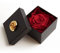 ROSEMARIE SCHULZ Heidelberg Ewige Rose Rot in Box - Rosenbox 8,5x8,5cm 1 echte Rose haltbar 3 Jahre in Blumenbox - Valentinstag für sie Rose (Rot, 1 Rose)