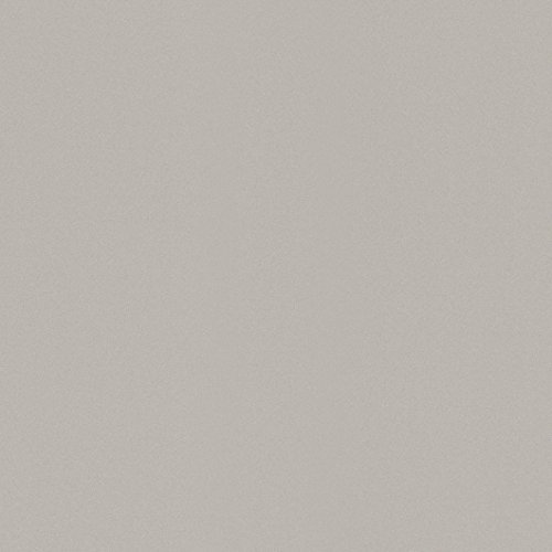 Vliestapete Rasch Uni Einfarbig Glatt grau Wallpaper Color 518016