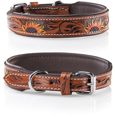 Jack & Russell Leder Hundehalsband aus Echtleder, Hand-geschnitzt und gepolstert – Halsband aus Büffelleder, Hunde Lederhalsband Soleil (M (31,5-42,0cm)