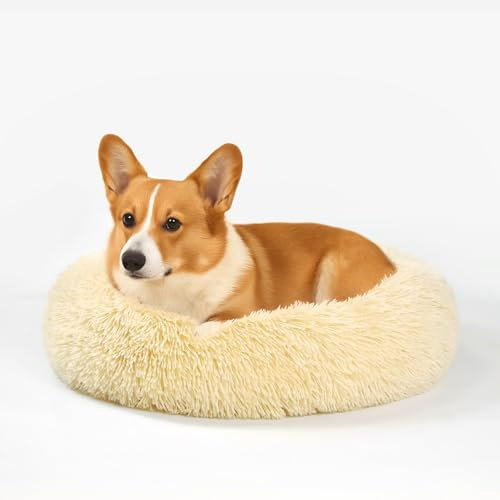MDDK DY Hundebett Katzenbett - Flauschiger Waschbarer Rundkorb, Donut Kissen, rutschfeste Unterseite, 60 cm, Geeignet für Kleine bis Mittlere Hunde und Katzen, Langer Plüsch, Hellbeige