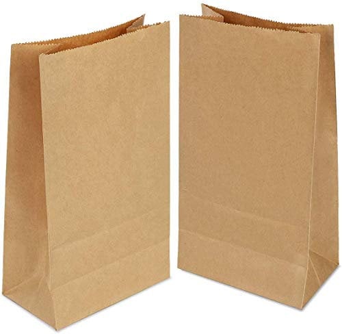 50 Stück Papiertüten Groß 30.5×20×12.5cm,Papiertüten Braun,Papiertüten für Brot Kekse Sandwiches Snacks Weihnachten
