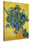 PICANOVA – Vincent Van Gogh Irises May 30x40 cm – Bild auf Leinwand – Leinwandbild – Premium Leinwanddruck – Kunstdruck Auf 2cm Holz-Keilrahmen Für Schlaf- Und Wohnzimmer