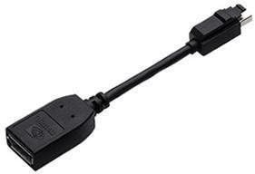 PNY Mini DisplayPort auf DisplayPort Adapter