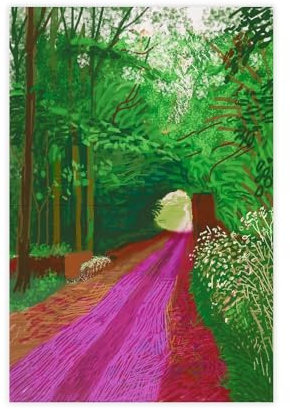 FISH DRAGATE Leinwandposter David Hockney 8, Wandkunst, Dekordruck, Gemälde für Wohnzimmer, Schlafzimmer, Dekoration, ungerahmt, 30 x 45 cm