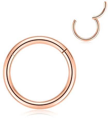 AROWRO 316L Surgical Steel Hinged Nose Rings Hoop 20G 18G 16G 14G 12G 10G 8G 6G 4G Seamless Piercing Rings for Nose Septum Cartilage Helix Tragus Conch Rook Daith Lobe Diameter 6mm to 14mm