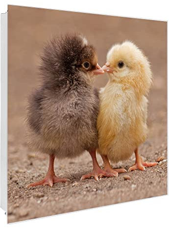 banjado Großer Schlüsselkasten Glas - Schlüsselbox 30x30cm mit 50 Haken - Schlüsselkasten modern für Schlüsselaufbewahrung mit beschreibbarer, magnetischer Glastür - Motiv Zwei Küken