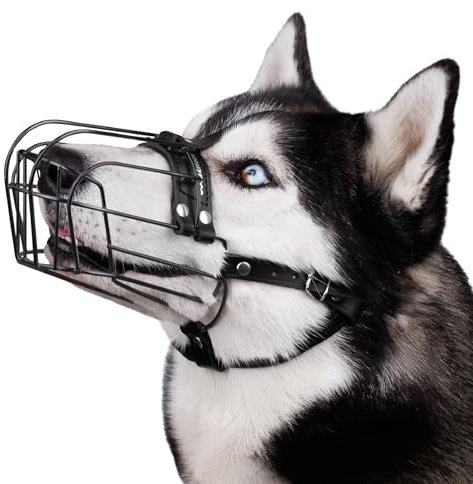 BRONZEDOG Hundemaulkorb Verstellbar Robustes PVC/Metalldrahtkorb für Große und Sehr Große Hunde mit Lederbändern Atmungsaktiv, Trinkfähig, Training, Verhindert Beißen (Husky & Doberman, PVC)