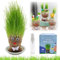 Graskopf Puppenpflanze, Graskopf Wachsende, Wachsende Graskopf Puppenpflanze, Graskopf Haarwuchs Spielzeug Mit Tablett, Mini Bonsai Gras Kopf Figure Puppen, Kinder Handwerk DIY Lustiges Geschenke