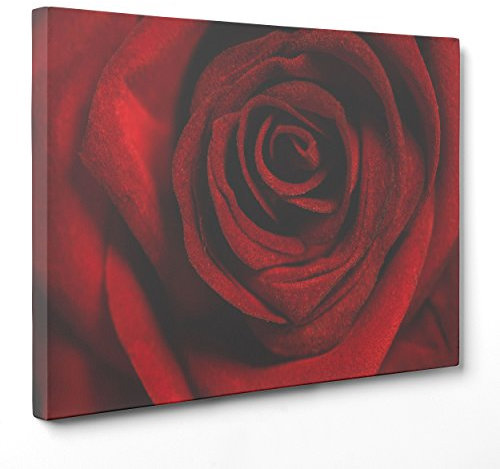 QUADRO SU TELA CANVAS - INTELAIATO - PRONTO DA APPENDERE - Rose - Fiori Roseto Rossa Rosa - Natura Elegante - 100x152cm - Senza Cornice - (cod.4751)