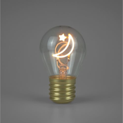 BHMAOYN Schnurlose Glühbirne | USB Batteriebetriebene Glühbirne | LED Edison Lampe für Schlafzimmer | Batteriebetriebene Glühbirne | Batterie Glühbirne | Edison Glühbirne (Moon & Star Light Bulb)