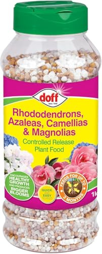 Fast Acting Rhododendrons, Azaleas, Camellias & Magnolias Controlled Release Plant Food Garden Fertiliser Encourages Root Development 1kg