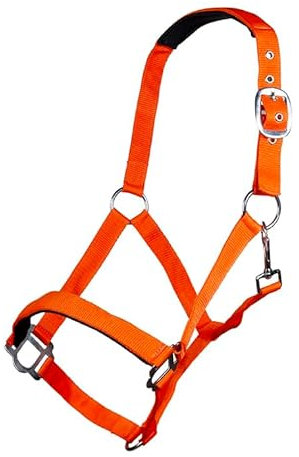 HKM Sydney Style weich unterlegt Halfter, Neon Orange, Warmblut