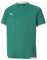 PUMA Unisex Kinder Teamliga Jersey Jr Shirt, Pepper Green-puma White, 128 EU