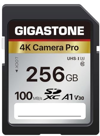 Gigastone 256GB SDXC Memory Card 4K Pro Series Camera Transfer Speed Up to 100MB/s Compatible with Canon Nikon Sony Camcorder, A1 V30 UHS-I Class 10 for 4K UHD Video