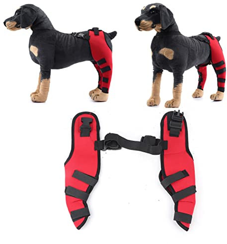 Tnfeeon Kniestütze für Hunde, Beinstütze bei Bandverletzungen, Gelenkschmerzen und Muskelkater, Verstellbare Hintere Unterstützung für Kniescheibenluxation (HJ26 hintere Doppelleggings