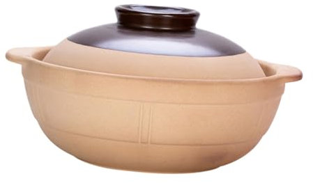 FUNNETOYU 1pezzi Pentola per Stufato in Ceramica Pentola di Terracotta per Zuppa e Brodo per Cucina Coperchio