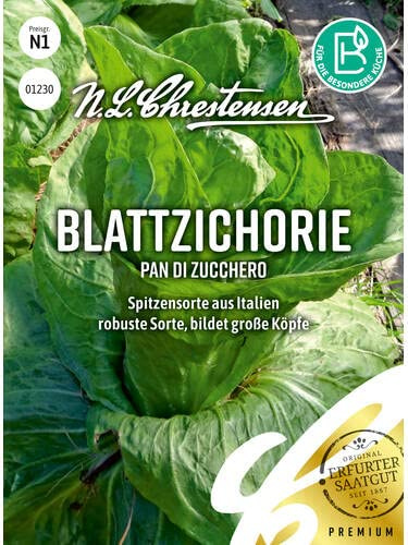 Blattzichorie Pan di zucchero