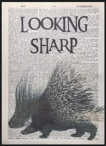 Kunstdruck auf Wörterbuchseite im Vintage-Stil, Stachelschwein