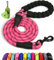 TAGLORY Corde pour Chien en Nylon avec Poignée Rembourrée Douce et des Fils réfléchissants, 1,5 m Laisse Forte pour Chiens de Moyenne et Grande Taille, Rose