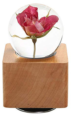 Wooden Crystal Ball Music Box Rose Plant Specimens Resin Craft Gift Music Box Song for The City in The Sky
