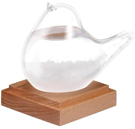 Konesky Prévisions météo en verre d'orage, en forme d'oiseau, stations météo en verre d'orage, prévisions météo, prévisions décoratives, cadeau scientifique, tête vers le haut
