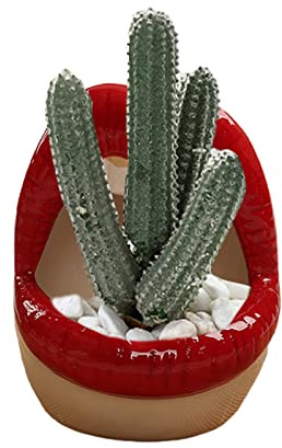 Keramik Blumentopf Blumentöpfe Lippenform Topf Mini Keramik Pflanzenbehälter für Gartenbüro Kaktus Sukkulenter Wohnkultur Geschenk (Rot)
