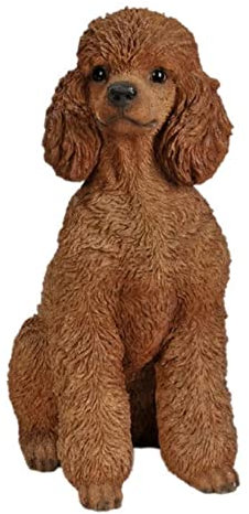 Hi-Line Gift Ltd Pudel Hund sitzend, 48,5 cm hoch, Braun