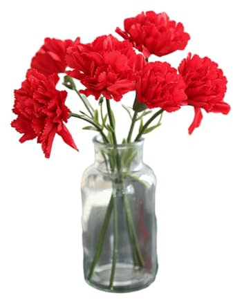 Fairnull Künstliche Nelken, Kunstseide, realistische Nelke, realistisch, kein Gießen, kein Verblassen, Kunstblumen, DIY-Geschenk, Muttertag, Heimdekoration, Rot, 6 Stück