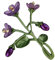 CALLARON 1Stk Violette Brosche Amethyst Broschennadel trachtenbrosche anziehsachen Strassstifte Schmuck glänzende Brosche Kleidung Corsage Ausschnitt Halsband Emaille Orchidee Mann Veilchen