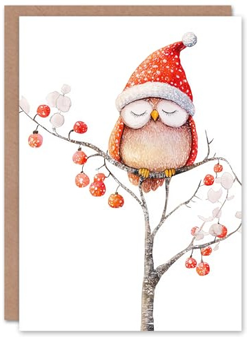 Wee Blue Coo Greeting Card Cute Santa Hat Owl On Winter Tree With Baubles Blank For Him Or Her Art Xmas Christmas Card