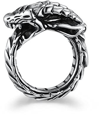 Stfery Freundschaftsringe Titan Carbon, Edelstahl Ring Herren 62 Stahl Zupaysaurus Schmuck Geschenk
