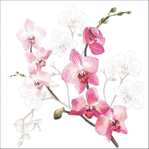 Ambiente - Papierservietten - Orchid/Orchidee 33 x 33cm
