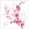 Ambiente - Papierservietten - Orchid/Orchidee 33 x 33cm