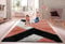 Stylish Large Area Rugs For Living Room - Non Shedding Dense Pile Shaggy Rug For Bedroom Kitchen Carpet Runner Non Slip Floor Mat (Rose - Nova, 160 x 230 cm - 5 ft 3 in x 7 ft 7 in)