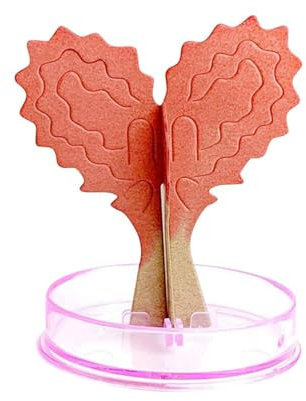 Moxeupon Magischer wachsender Baum, Kreativer magischer Wachstumsbaum bastelt Wasserwachsendes Spielzeug, Magisch wachsende Kristallbäume zum Valentinstag. Kunst- und Bastelsets für Kinder