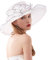 Naimo Damen Organzahut Mesh Fascinator Hut Breite Krempe Blumen Kentucky Hut Derby Strandhut Kirche Tea Party Hochzeit Sonnenhut