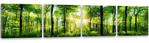 Feeby Bilder 4 Teile Wald Bäume Sonne 160x40 cm Wohnzimmer Schlafzimmer Büro Flur Küche Wandbilder Modern Bild auf Leinwand Wanddekoration Kunstdruck Design Natur Grün