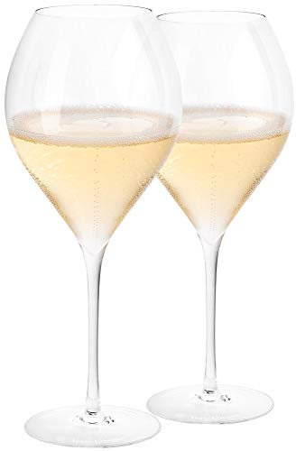 Veuve Clicquot Champagner Glas Trendy Prestige Gläser Set Klar 280 ml Flöte (2 Stück)