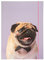 NEU Sammelmappe mit Gummiband, A3, 1 Mappe, BASIC PUGGY LOVE/Mops