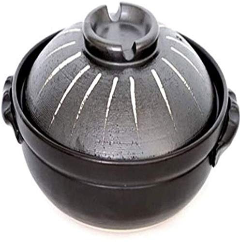 Cazuela Cazuela Cazuela De Hierro Fundido Multifunción Con Tapa Para Horno Cazuelas Con Tapa Olla De Barro Arroz Olla De Sopa De Cerámica Resistente A Altas Temperaturas-2800ml Cazuela