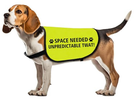 Reactive Space Dog Jacket - Needed for Unpredictable Twats - Dog Walking Slogan - Warning Vest (Large)